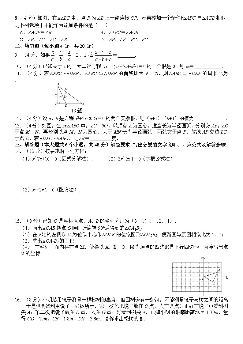 雅安中学2024—2025学年上期半期教学质量评估九年级数学试题第2页
