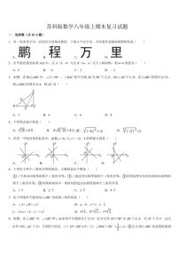 2024～2025学年苏科版数学八年级上期末复习试卷(含答案)