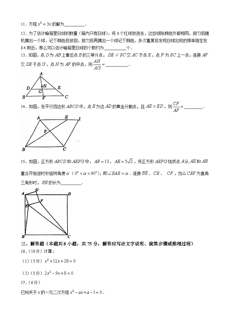 辽宁省沈阳市南昌初级中学2024-2025学年九年级上学期数学期中试卷第3页
