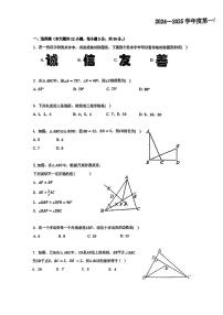天津市河东第三片区2024-2025学年八年级上学期期中考试数学试题