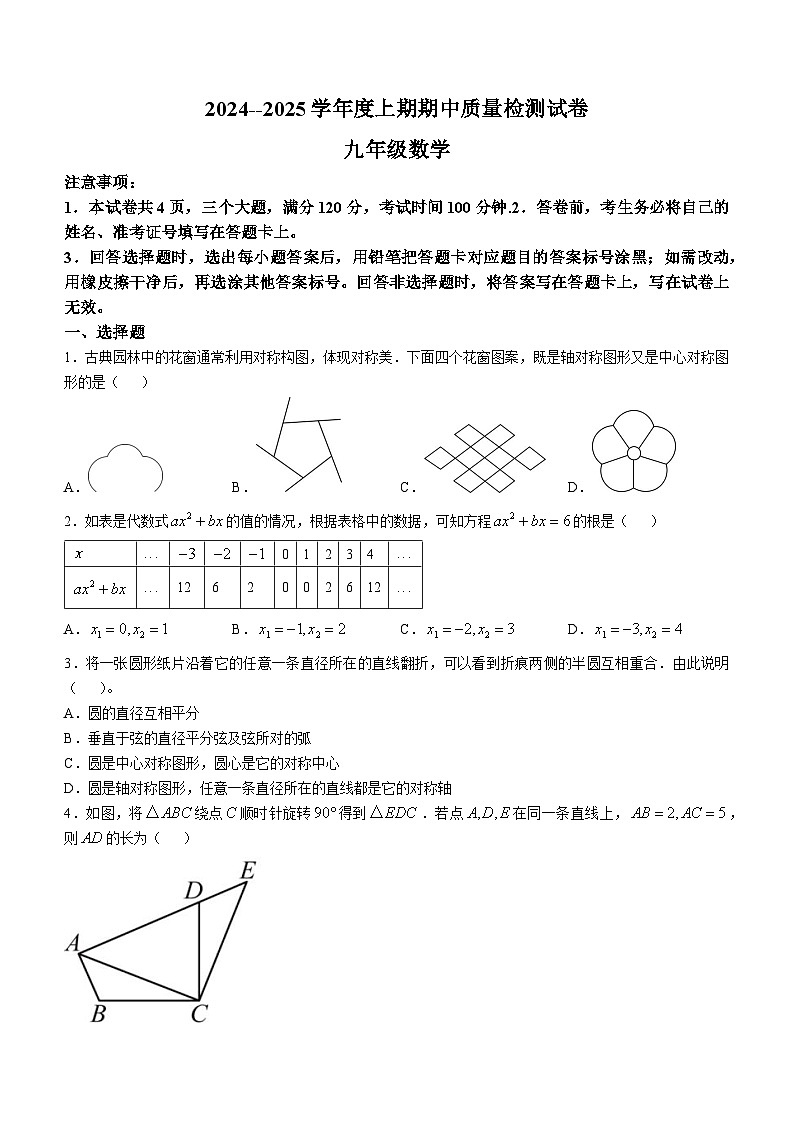河南省信阳市新县2024-2025学年九年级上学期期中质量监测数学试卷第1页
