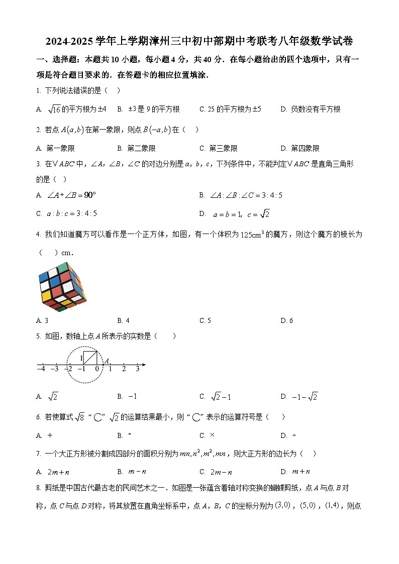 福建省 漳州市第三中学2024-2025学年八年级上学期11月期中数学试题（原卷版）第1页
