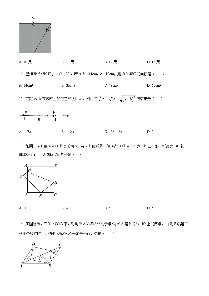 精品解析：河北省邯郸市丛台区邯郸市锦玉中学2023-2024 学年八年级下学期月考数学试题（原卷版）第3页