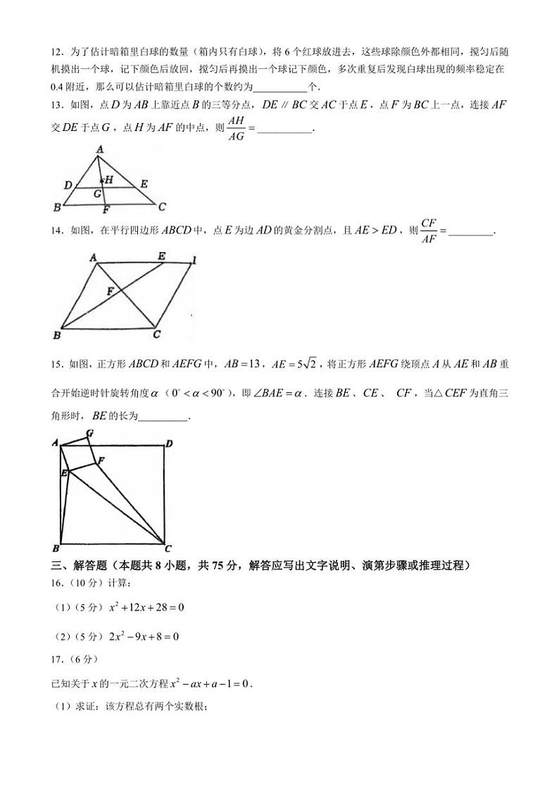 辽宁省沈阳市南昌初级中学2024～2025学年九年级(上)数学期中试卷(含简略答案)第3页