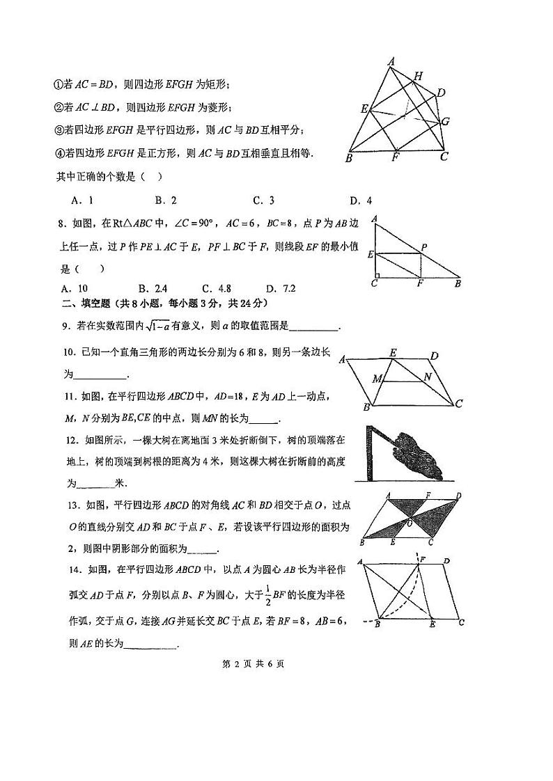 北京市海淀外国语藤飞学校2023~2024学年八年级下学期期中数学试卷第2页