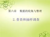 8.2普查和抽样调查课件2023—-2024学年鲁教版（五四制）数学六年级下册