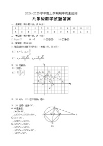 山东省日照市岚山区2024-2025学年九年级上学期期中考试数学试题