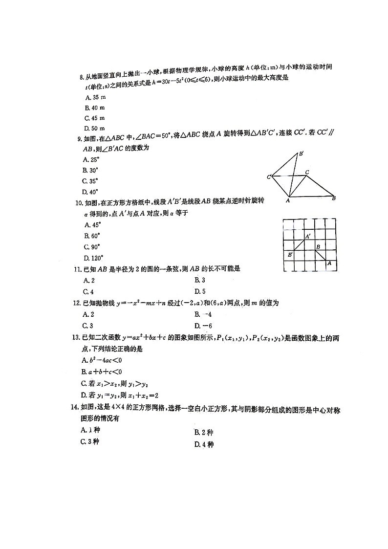 云南省昭通市2024-2025学上学期期中考试九年级数学试卷第2页