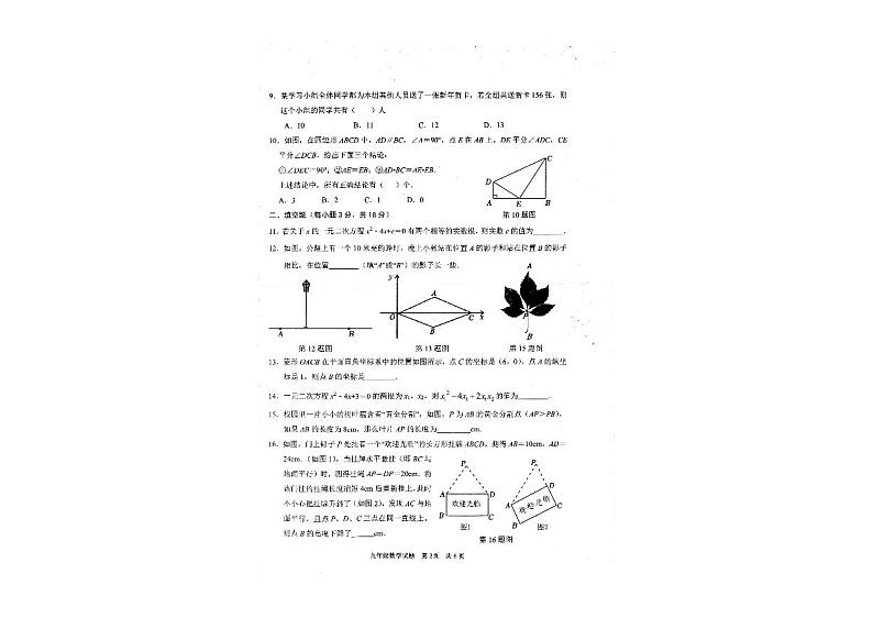 山东省枣庄市薛城区2024-2025学年九年级上学期期中考试数学试题第2页