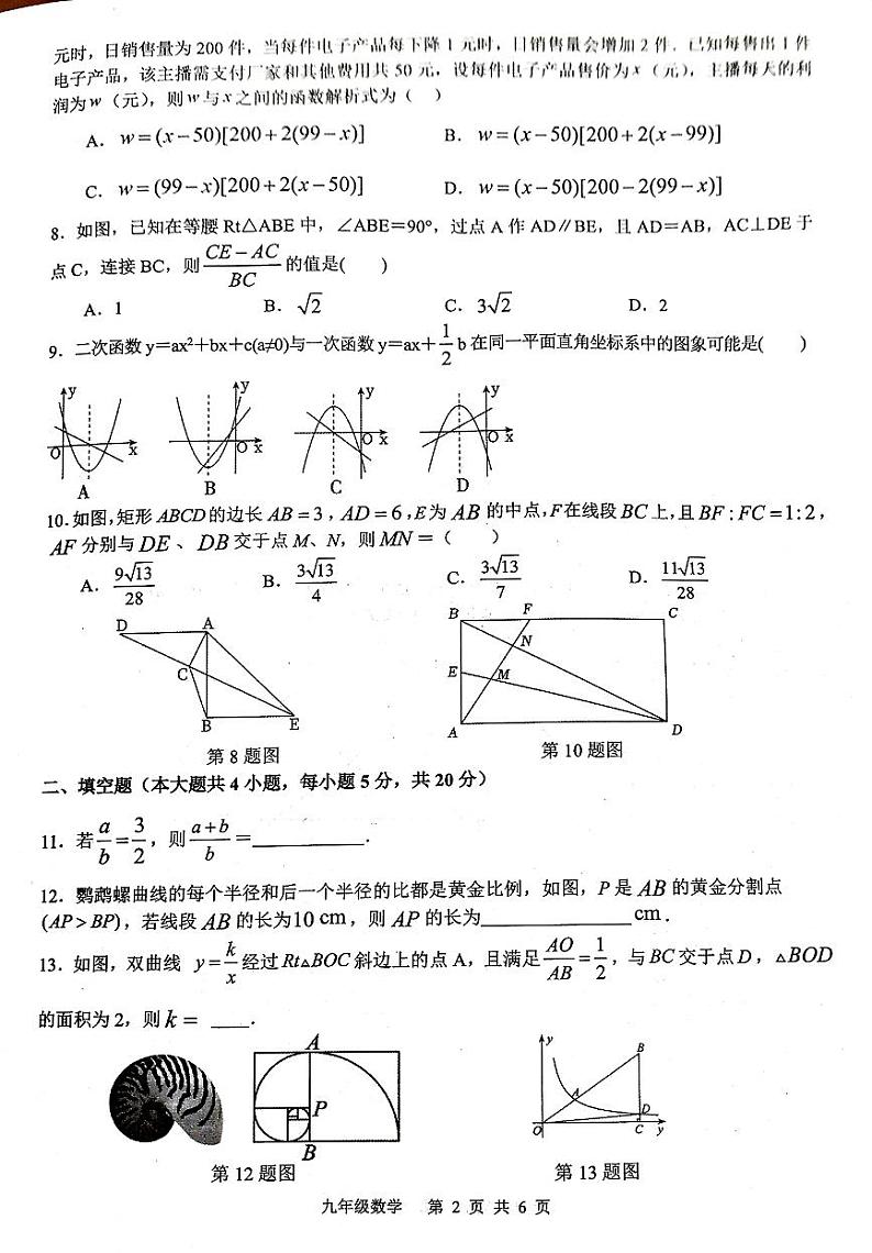 安徽省合肥市蜀山区西苑中学2024-2025学年九年级上学期11月期中数学试题第2页