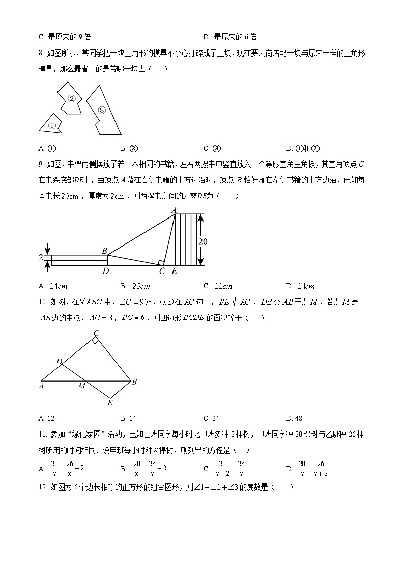 河北省石家庄市第四十二中学2024—-2025学年八年级上学期数学月考试卷（原卷版）-A4第2页
