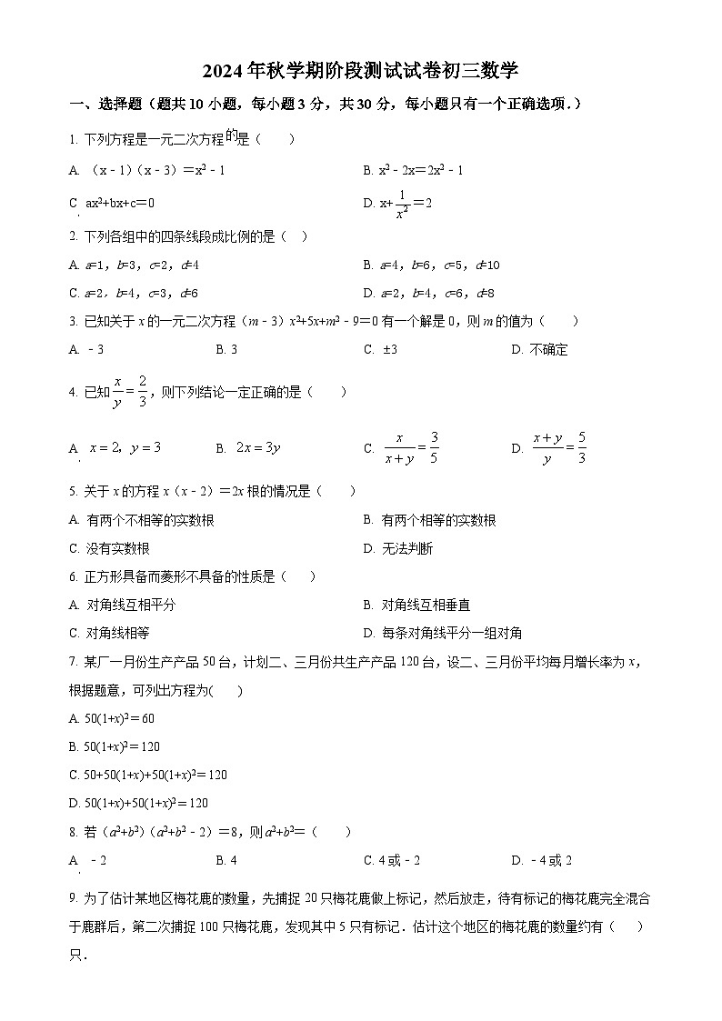 甘肃省张掖市甘州区张掖育才中学2024-2025学年九年级上学期10月月考数学试题（原卷版）-A4第1页
