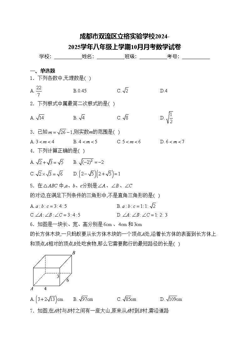 成都市双流区立格实验学校2024-2025学年八年级上学期10月月考数学试卷(含答案)第1页