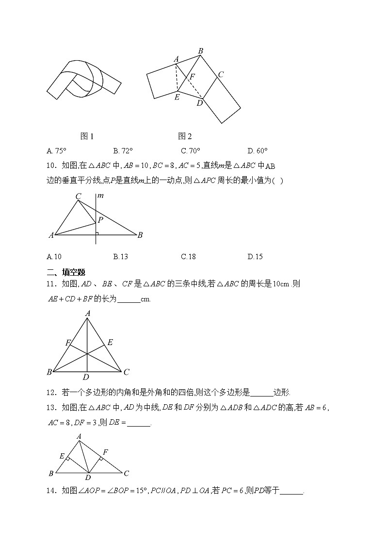 河南省濮阳市2024-2025学年八年级上学期11月期中考试数学试卷(含答案)第3页