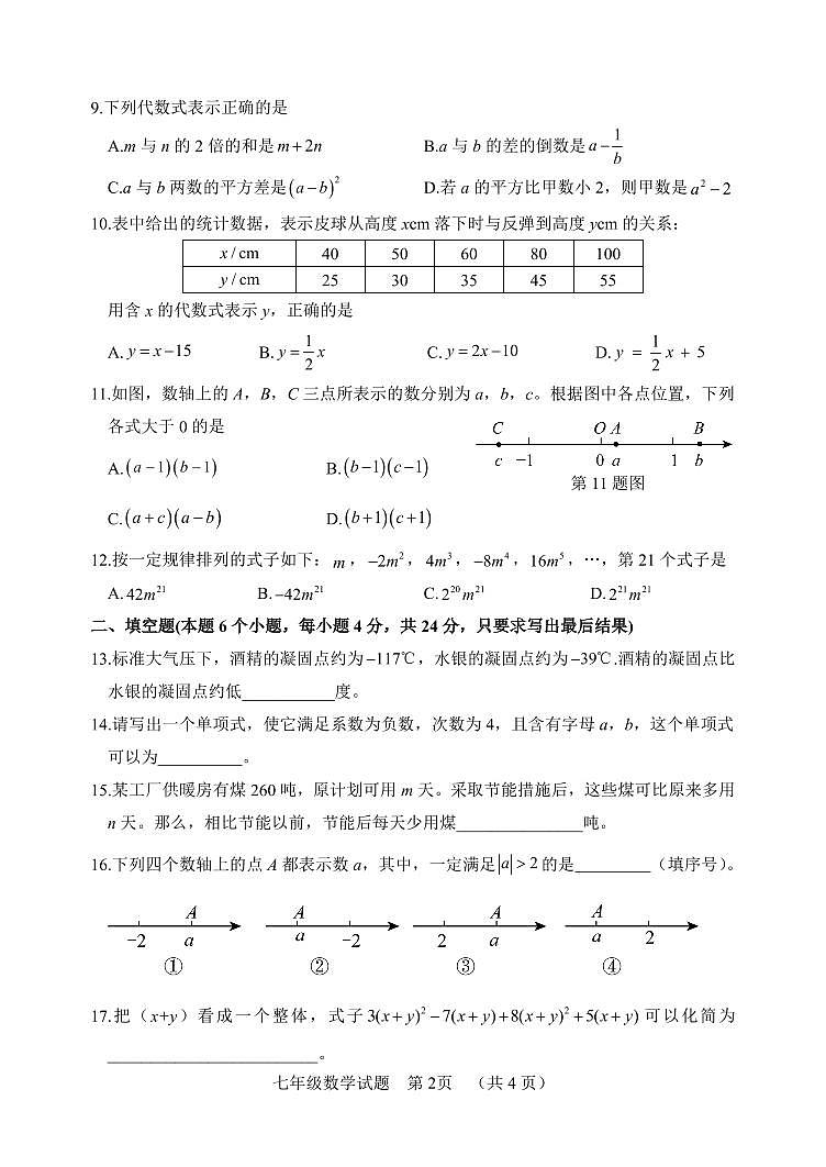 山东省聊城市临清市2024-2025学年七年级上学期期中考试数学试题第2页