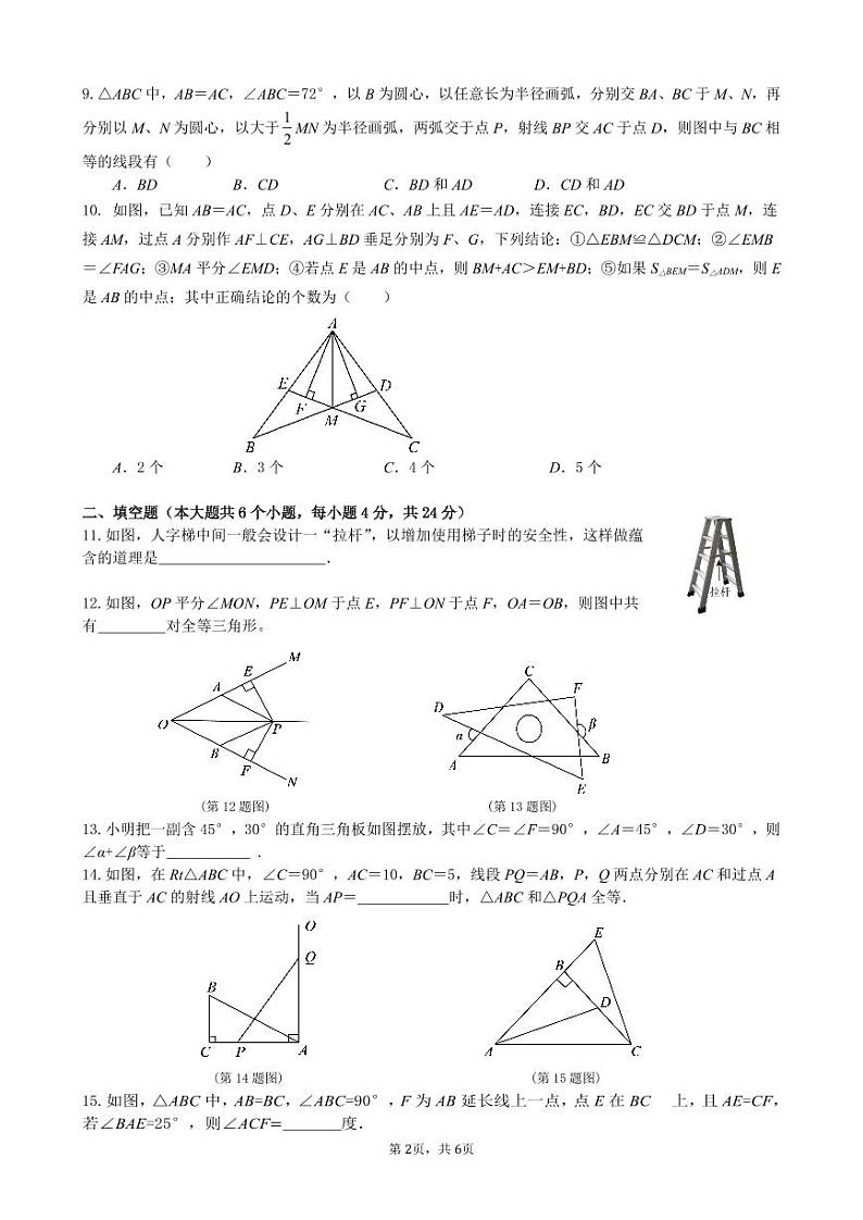 四川省广元市苍溪县2024-2025学年八年级上学期期中检测数学试题第2页