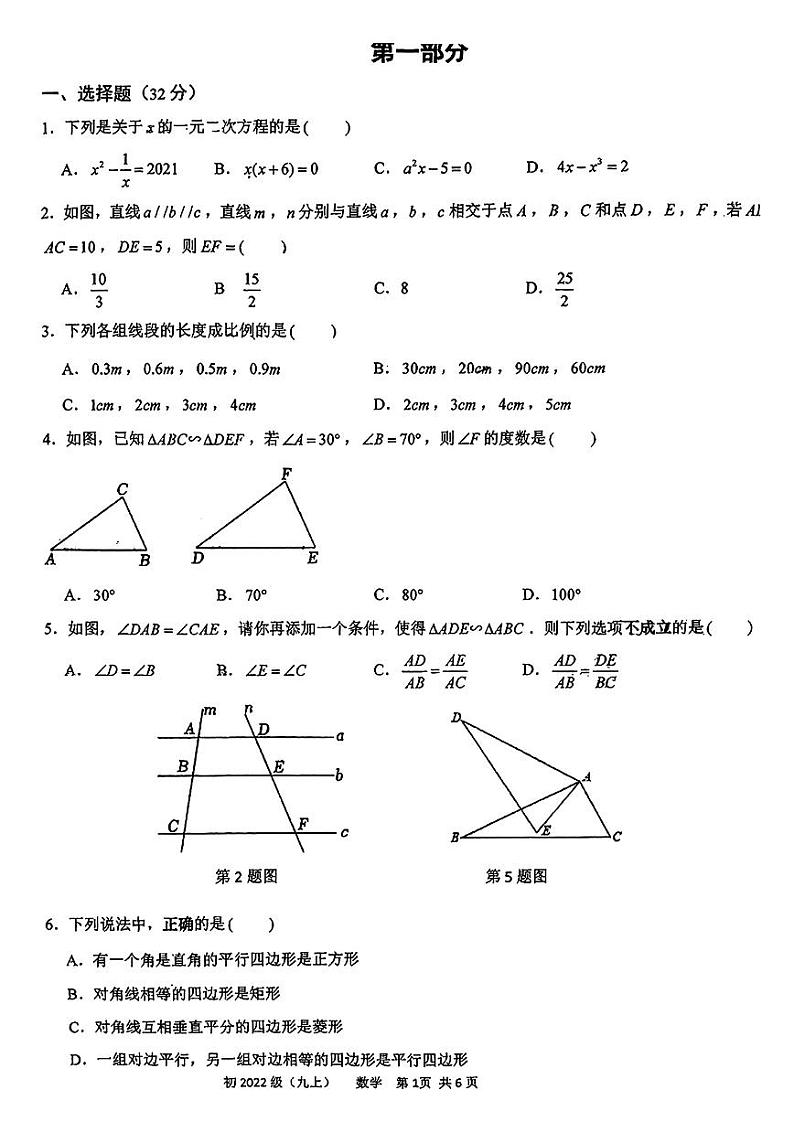 2024-2025成都师大一中九上数学第一次月考试卷（无答案）第1页