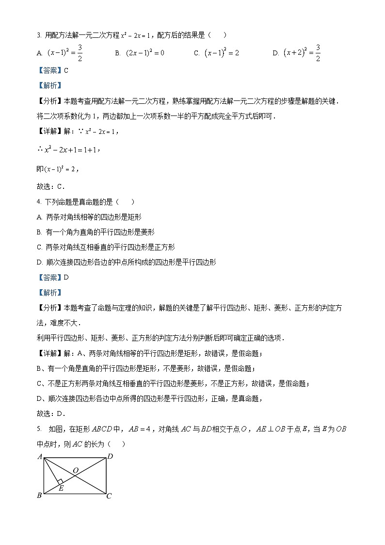 北师大版2024-2025学年九年级数学上册10月月考模拟卷（解析版）-A4第2页