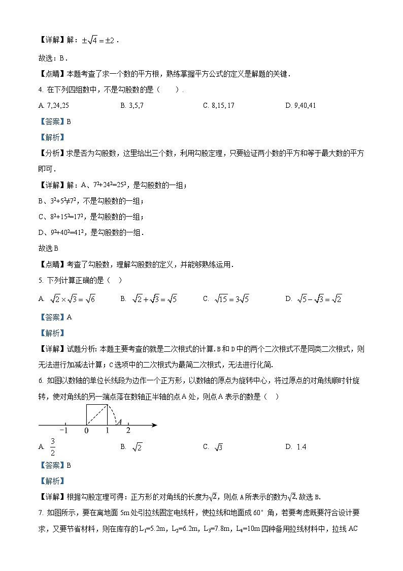北师大版2024-2025学年八年级数学上册 第一次月考测试卷（解析版）-A4第2页