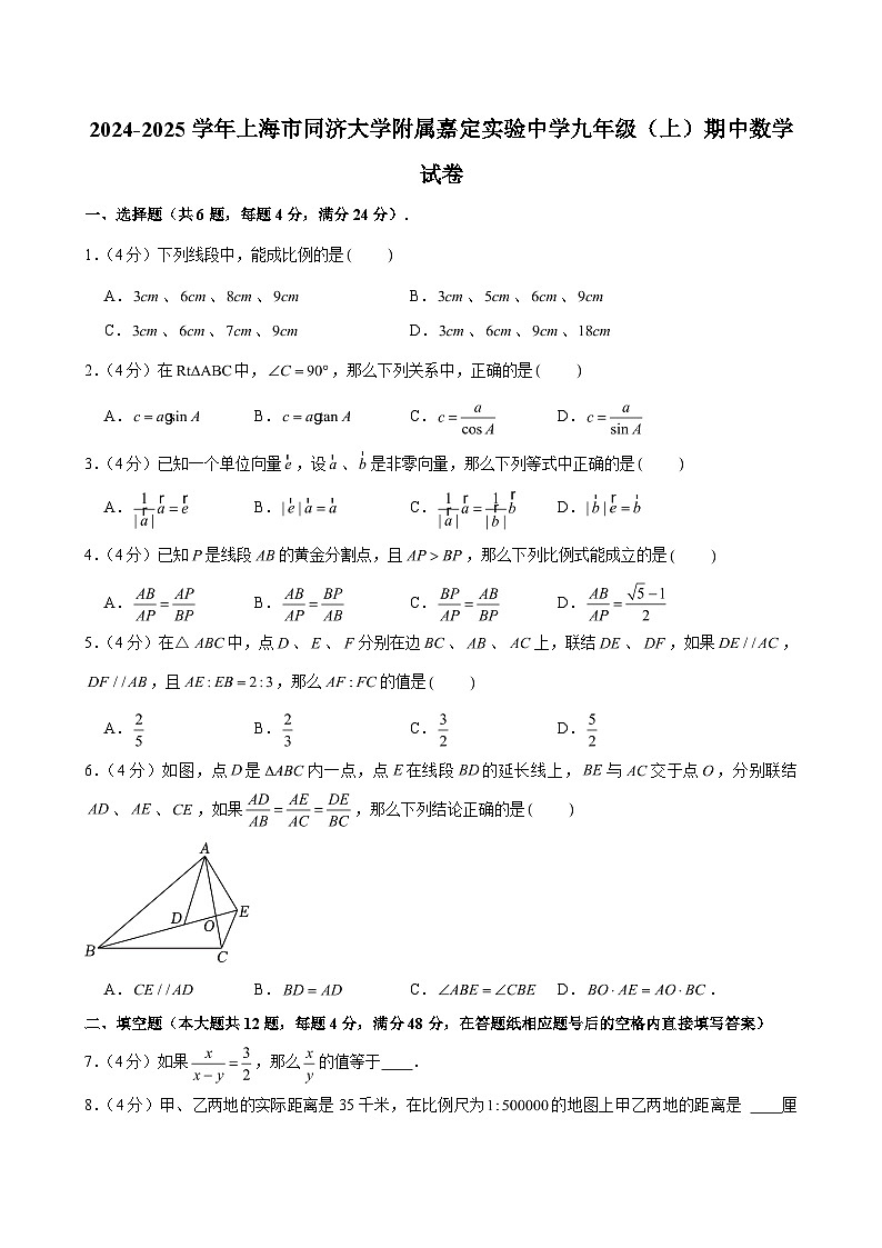 2024-2025学年上海市同济大学附属嘉定实验中学九年级（上）期中数学试卷（含解析）第1页