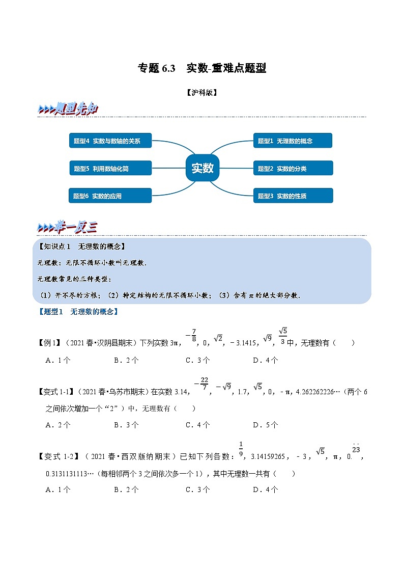 沪科版数学七下同步讲义专题6.3 实数（原卷版）第1页