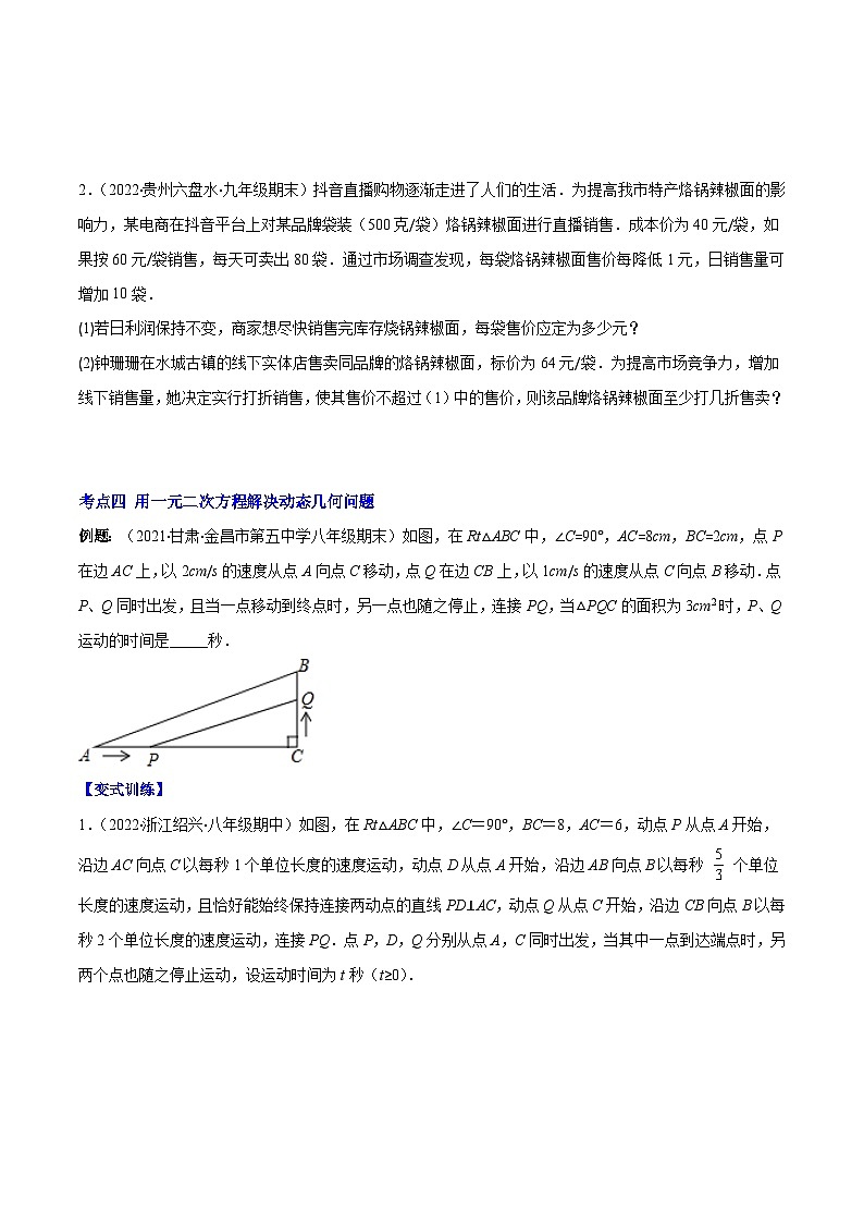 人教版数学九年级上册重难点培优训练专题04 解决实际问题与一元二次方程(原卷版) 第3页