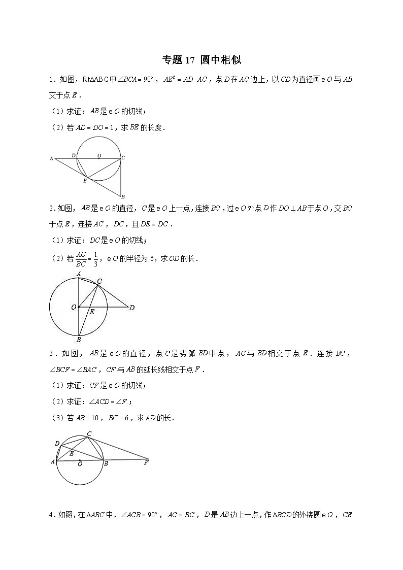 人教版数学九年级下册考点提分练习专题17 圆中相似（原卷版） 第1页