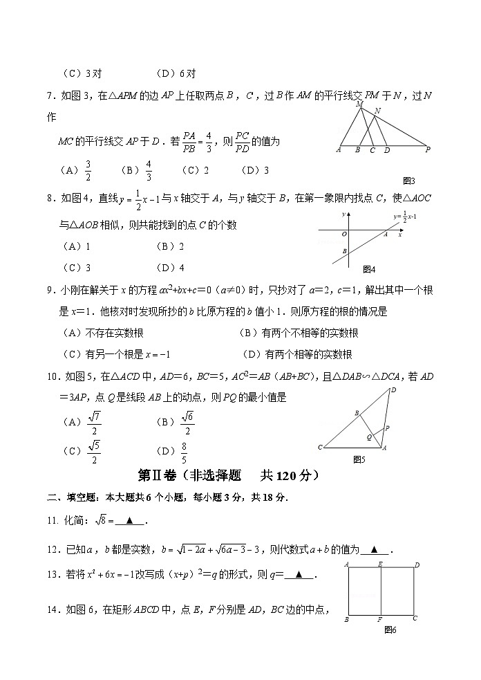 苏辙中学24-25学年九年级上学期期中小练习数学试卷21第2页