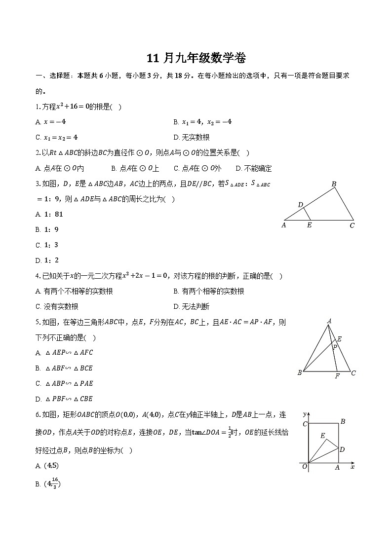 江苏省靖江市八校联考2024-2025学年九年级上学期11月月考数学试卷第1页