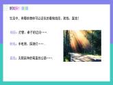 2024-2025学年七年级数学人教版上册6.2.1直线、射线、线段 课件