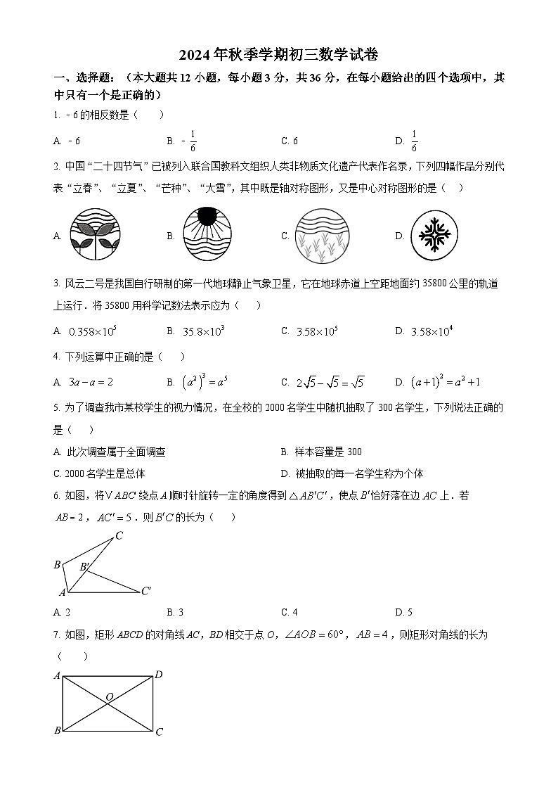 广西南宁市北大附属实验学校2024—2025学年上学期9月月考八年级数学试题（原卷版）-A4第1页