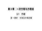 初中數(shù)學(xué)新滬科版七年級(jí)上冊(cè)3.1第1課時(shí) 方程及方程的解課堂作業(yè)課件2024秋