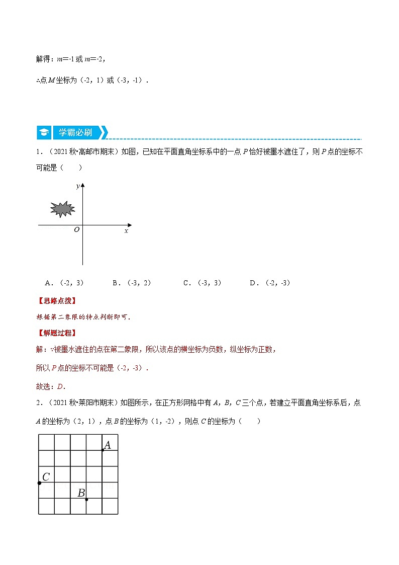 浙教版数学八上培优训练专题4.1 平面直角坐标系中点的坐标（重点题专项讲练）（解析版）第2页