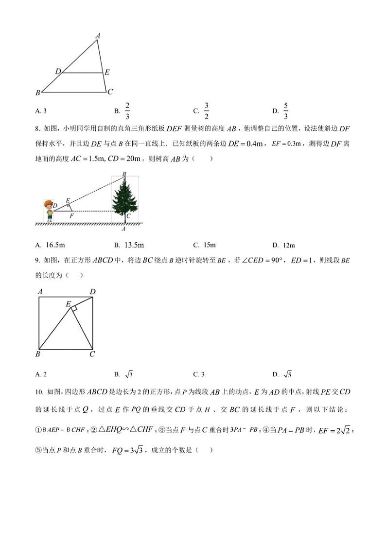 山东省济南市济阳区2024～2025学年九年级(上)期中数学试卷(含答案)第2页