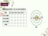 第二十五章　概率初步數(shù)學(xué)活動(dòng).教學(xué)課件 人教版數(shù)學(xué)九年級(jí)上冊(cè)