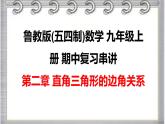 2022-2023学年鲁教版(五四制)数学九年级上册期中复习串讲之课件精讲 第二章 直角三角形的边角关系 课件