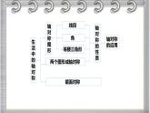 2023-2024学年鲁教版(五四制)数学七年级上册期中复习第二章 轴对称 课件