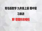 2023-2024学年青岛版数学九年级上册期中复习 第1章 图形的相似 课件