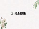 數(shù)學(xué)魯教版（五四制）九年級(jí)上冊(cè) 2.1 銳角三角形 課件