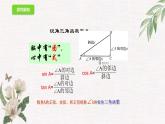 數(shù)學(xué)魯教版（五四制）九年級(jí)上冊(cè) 2.1 銳角三角形 課件