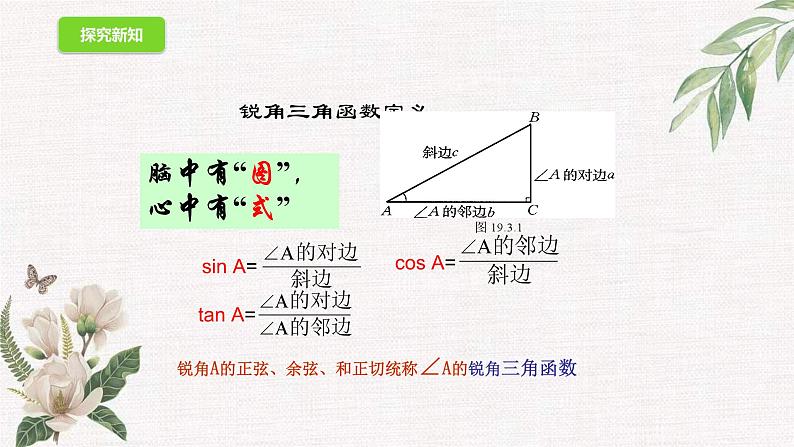 数学鲁教版（五四制）九年级上册 2.1 锐角三角形 课件第4页