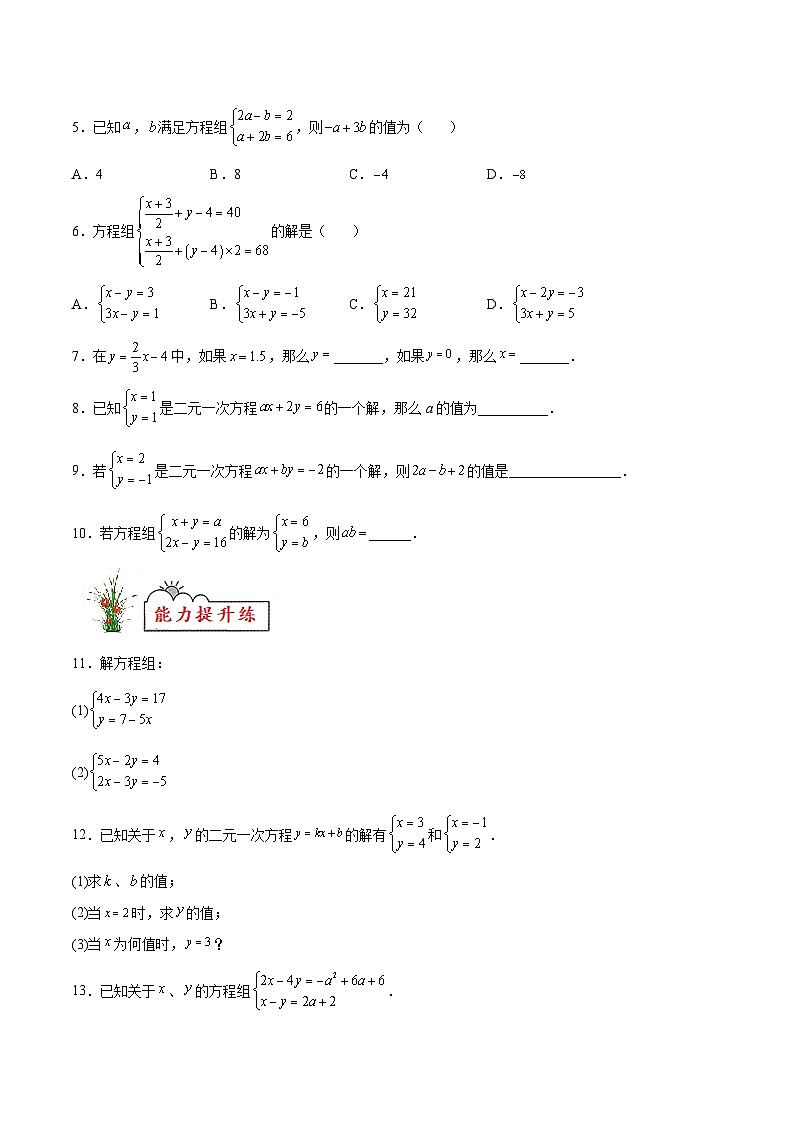 (暑假)苏教版数学七年级分层作业第08练 二元一次方程（组）（原卷版）第2页