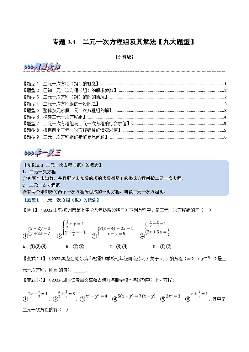 沪科版数学七上同步讲练专题3.4 二元一次方程组及其解法【九大题型】（原卷版）第1页