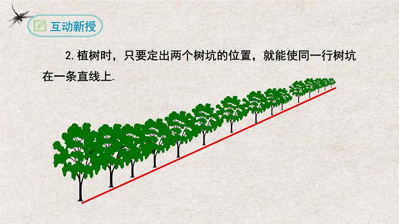 人教版数学七年级上册同步讲练课件4.2直线、射线、线段(第一课时)第7页