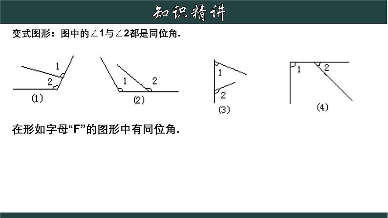 浙教版数学七年级下册同步教学课件1.2 同位角、内错角、同旁内角第6页