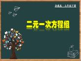 浙教版數(shù)學(xué)七年級(jí)下冊(cè)同步教學(xué)課件2.2 二元一次方程組