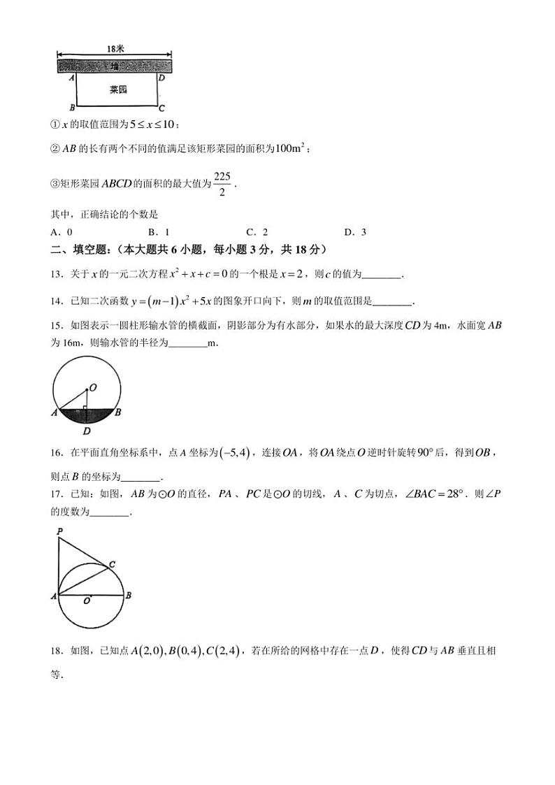2024～2025学年天津市滨海新区大港油田第一中学九年级(上)期中数学试卷(无答案)第3页