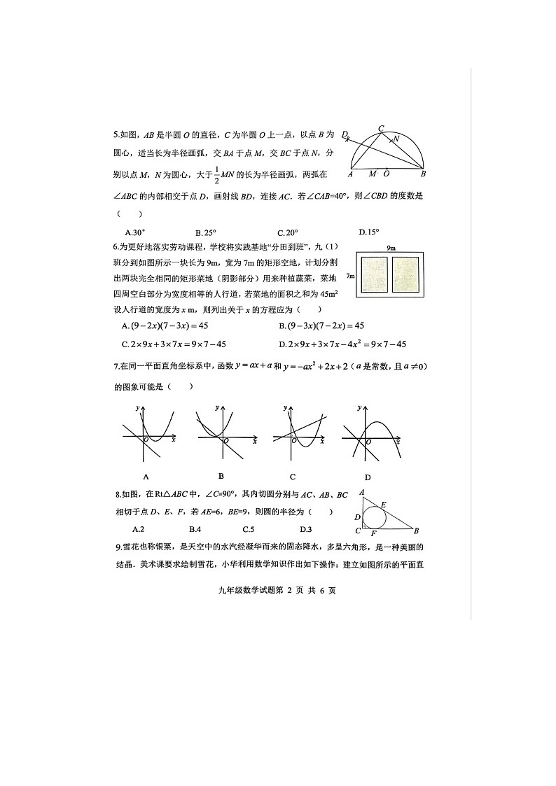 山东省日照市岚山区2024-2025学年九年级上学期11月期中数学试题第2页