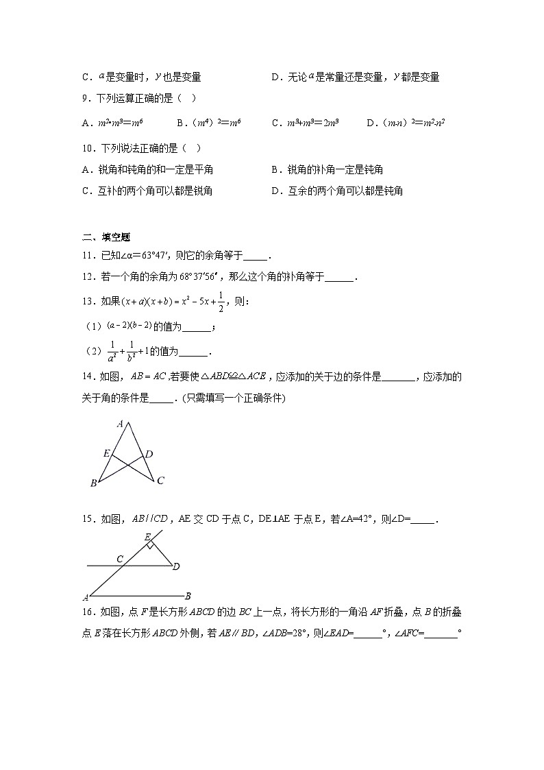 北师大版七年级数学下册期末巩固训练试题第2页