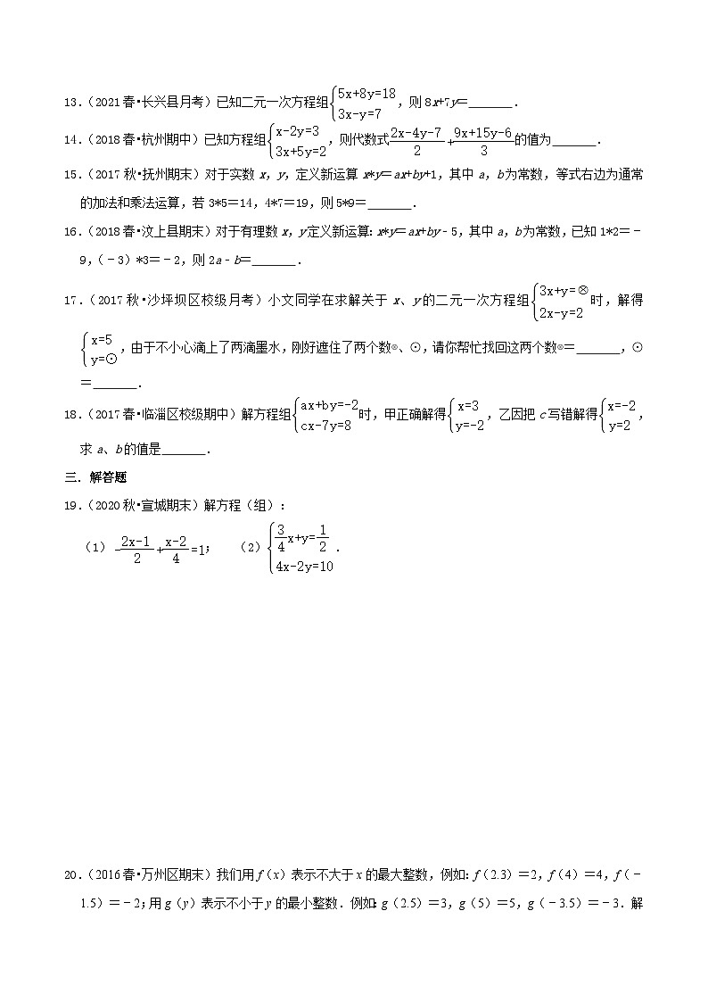 人教版数学七年级下册期末压轴题训练专题04  解二元一次方程组（原卷版）第2页